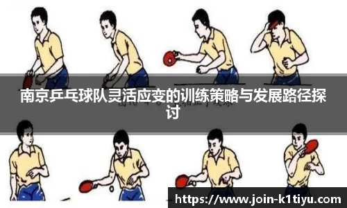 南京乒乓球队灵活应变的训练策略与发展路径探讨