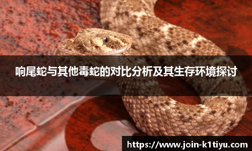 响尾蛇与其他毒蛇的对比分析及其生存环境探讨